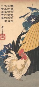おんどり、傘、朝顔、カリフォルニア州。 1830年頃。 1830年。 作： Ando Hiroshige