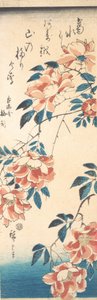 薔薇。 作： Ando Hiroshige