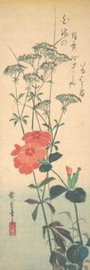 見事なピンクとチャイニーズ キンギョソウ、カリフォルニア州。 1836年頃。 1836年。 作： Ando Hiroshige