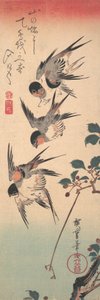 ツバメと出芽ワイルド チェリー、カリフォルニア州。 1835年頃。 1835年。 作： Ando Hiroshige