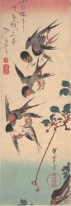 ツバメとワイルド チェリー、カリフォルニア州。 1834年頃。 1834年。 作： Ando Hiroshige