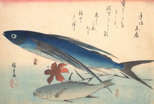 トビウオとイシモチの魚, シリーズ 魚づくし いろいろな魚, 1840s., 1840s.