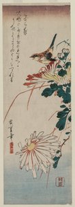 ウグイスと菊、1830年代半ば。 作： Ando Hiroshige
