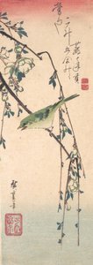 梅の枝のウグイス、約。 1835年頃。 1835年。 作： Ando Hiroshige