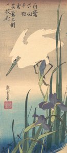 白鷺とアイリス。 作： Ando Hiroshige