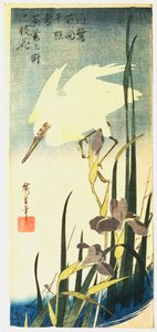 ホワイトヘロンとアイリス、1833 作： Ando Hiroshige