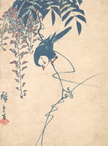 藤と白頭鳥、約。 1842年頃。 1842年。 作： Ando Hiroshige