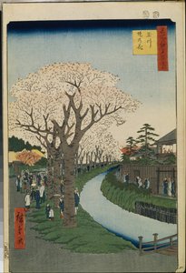 セント・ヴュ・セレブル・エド：多摩川のほとりの桜 作： Ando or Utagawa Hiroshige