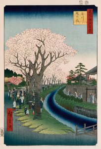 「多摩川堤防の桜」 作： Ando or Utagawa Hiroshige