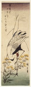 野生のマスタードを持つクレーン（カラー木版画） 作： Ando or Utagawa Hiroshige
