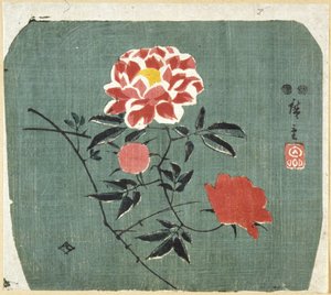 ファンプリント：ローズ 作： Ando or Utagawa Hiroshige