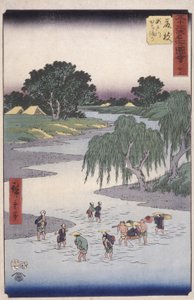 富士も
