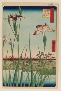 堀切花菖蒲園（ほりきりのはなしょうぶえん） 作： Ando or Utagawa Hiroshige