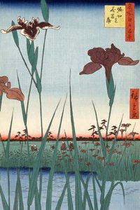 歌川広重の堀切菖蒲園 作： Ando or Utagawa Hiroshige