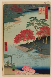秋葉神社内、宇気地 作： Ando or Utagawa Hiroshige