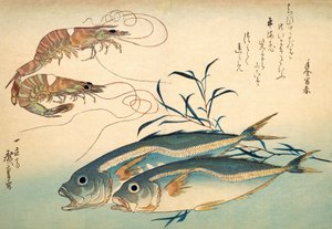 あじと車海老（色木版） 作： Ando or Utagawa Hiroshige
