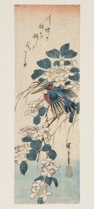 カワセミとガマズミ（カラー木版画 作： Ando or Utagawa Hiroshige