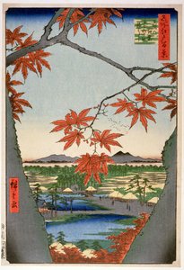 名所江戸百景 ママのもみじ 居酒屋。 魚谷英吉