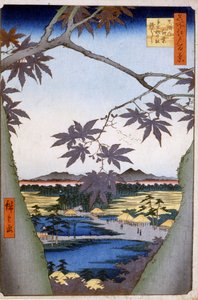 テコナテンプルとツギハギでママにカエデ。1857.葛飾（歌川）広重（1797-1858）の版画です。 作： Ando or Utagawa Hiroshige