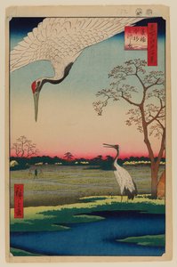 箕輪、金杉、三河島 作： Ando or Utagawa Hiroshige