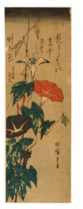 朝顔、1843〜47年頃（紙に木版画）