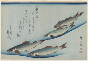 江戸時代の5匹の海マスの学校（紙に色木版画） 作： Ando or Utagawa Hiroshige