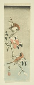 雪の中の雀と椿（カラー木版画 作： Ando or Utagawa Hiroshige