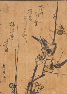 枝にとまる鳥の研究 作： Ando or Utagawa Hiroshige