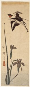 ツバメとアイリス (カラー木版画) 作： Ando or Utagawa Hiroshige