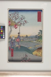 志賀屋富士見茶屋（有色木版画） 作： Ando or Utagawa Hiroshige