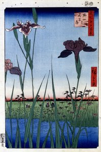 ウォーターアイリス - 歌川広重による日本の版画。江戸百景 作： Ando or Utagawa Hiroshige