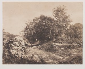 フォンテンブローの無題のシーンc。 1853年。 作： André Giroux