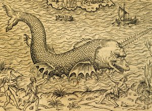 アンドレ・テヴェ（1504-1592）の『万国宇宙論』からの版画「海の怪物」、パリ 作： Andre Thevet