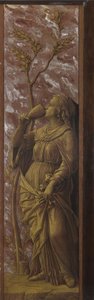 飲む女c。 1500 作： Andrea Mantegna