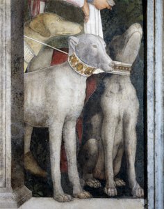 モロシアン・ドッグ、「ミーティング・ウォール」より抜粋 作： Andrea Mantegna