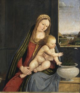カーネーションのマドンナ、1495年頃（オイルとテンペラを搭載） 作： Andrea Solario