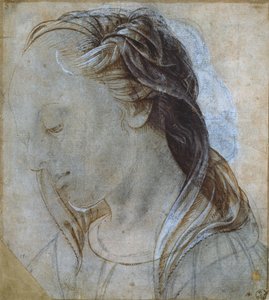 女性の頭（ドローイング） 作： Andrea Verrocchio