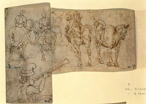 Inv no。38 recto Sketch of Horses、c。 1460-70（ペンとインク） 作： Andrea Verrocchio