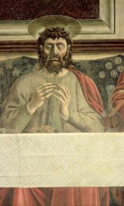 最後の晩餐、聖ジェームズ大帝の詳細、1447年のフレスコ画詳細85172 作： Andrea del Castagno