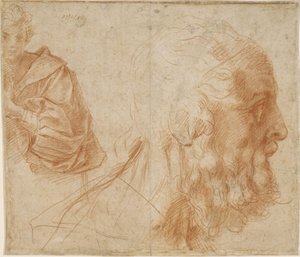 若者と老人ホーマーの頭。研究、約1521 作： Andrea del Sarto