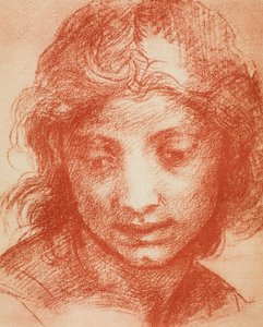 ボーイズヘッド 作： Andrea del Sarto