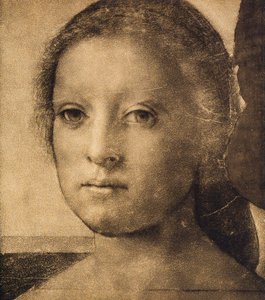 アンドレア・デル・サルトが描いた若い女性の頭。内閣描画と版画、ウフィツィ美術館、フィレンツェ 作： Andrea del Sarto