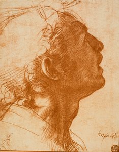 男性の頭 作： Andrea del Sarto