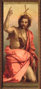 洗礼者聖ヨハネ、聖アグネスの祭壇画 (絵画、1525-1528年)