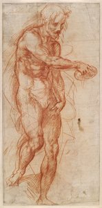 セントジョンザバプティスト研究、1518年頃 作： Andrea del Sarto