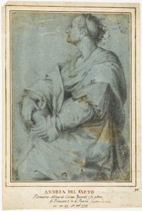 聖マグダラのマリア 作： Andrea del Sarto