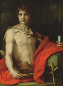 セントジョンザバプティスト、1522年（船上テンペラ） 作： Andrea del Sarto
