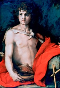 「洗礼者聖ヨハネ」、c1506-1530 作： Andrea del Sarto