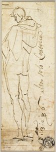 立っている男性のヌード 作： Andrea del Sarto
