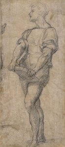 本を持って立っている青年、1515年頃 作： Andrea del Sarto